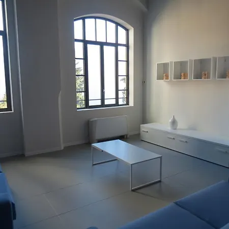 Loft Viola Гиффа